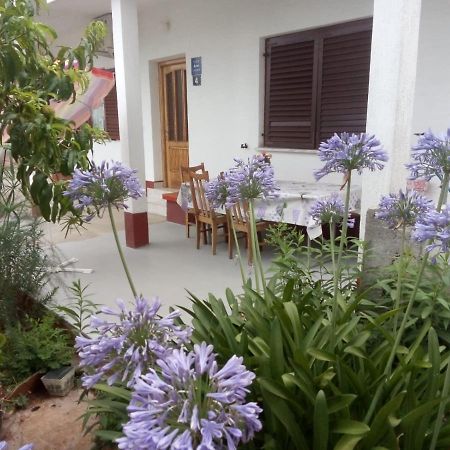 Comfort Apartment On The Beach Kali Εξωτερικό φωτογραφία