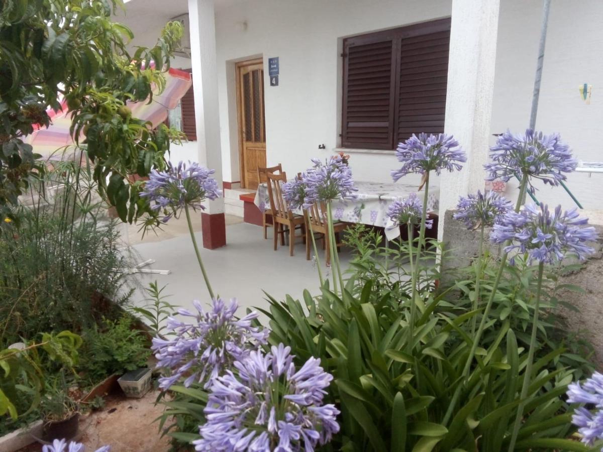 Comfort Apartment On The Beach Kali Εξωτερικό φωτογραφία